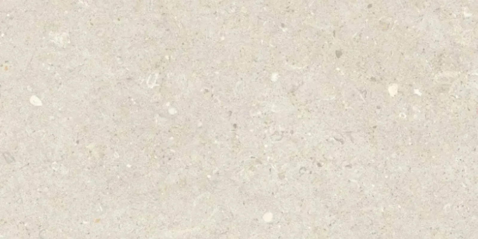 卡特系列