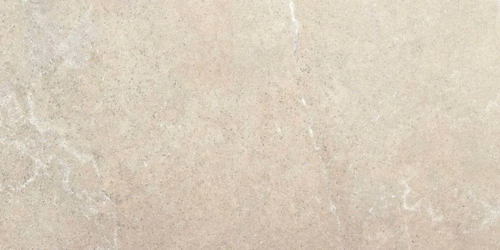 巴克斯