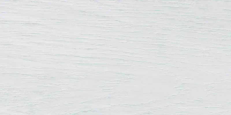 波羅的海