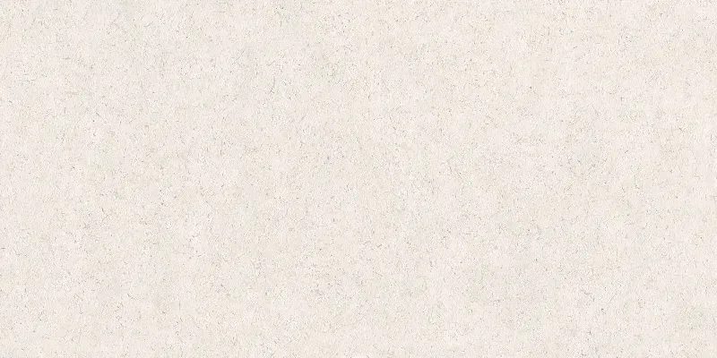 和紙貝殼石